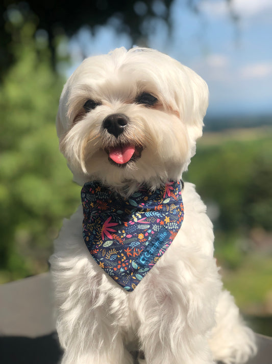 Bandana Flowerette marine