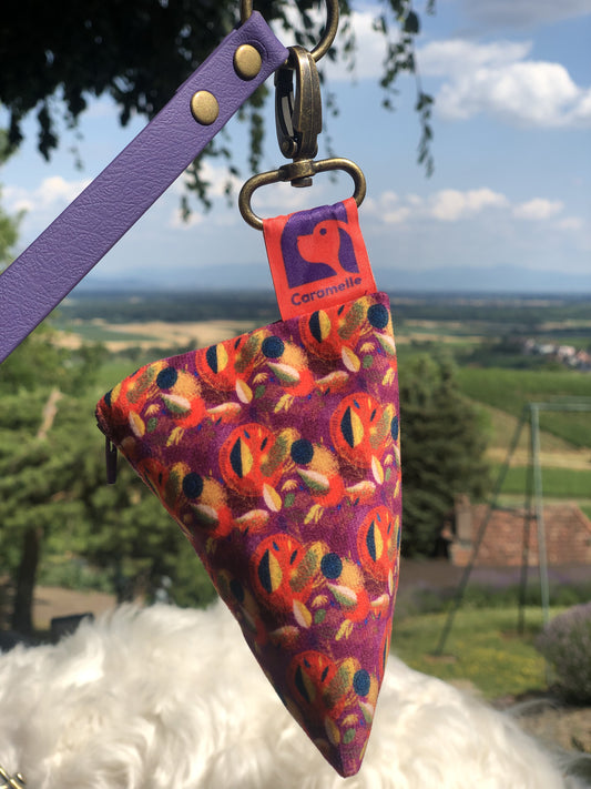 Berlingot attaché à une laisse en biothane de la marque French Caramelle lors d'un promenade dans la nature