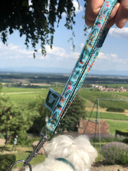 Anse pour chien attaché à une laisse lors d'une balade avec un bichon maltais