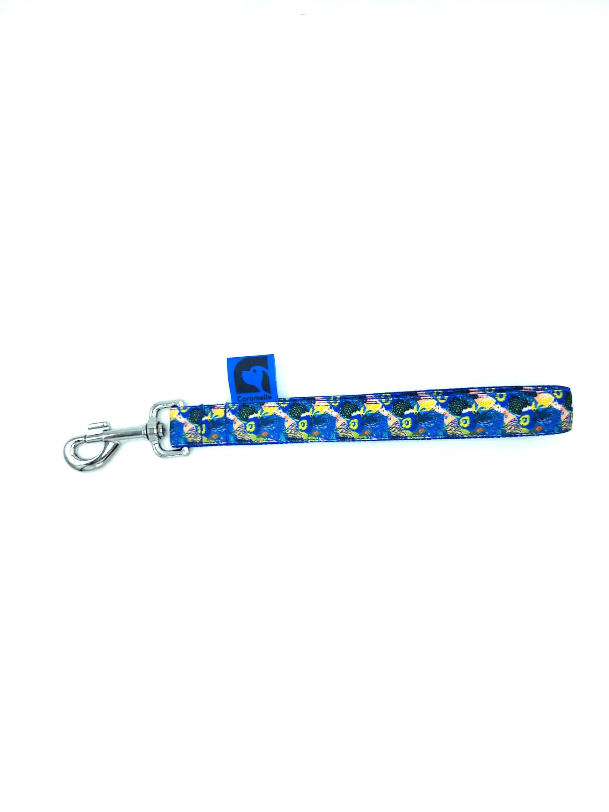 Anse stylé pour petit et grand chien bleu, vert et jaune de french caramelle collection coeur bleu