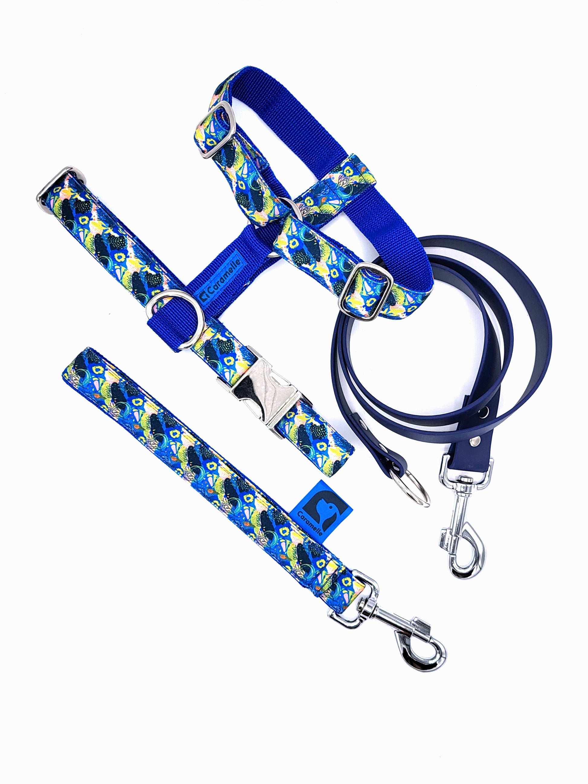 Anse stylé pour petit et grand chien bleu, vert et jaune de french caramelle collection coeur bleu