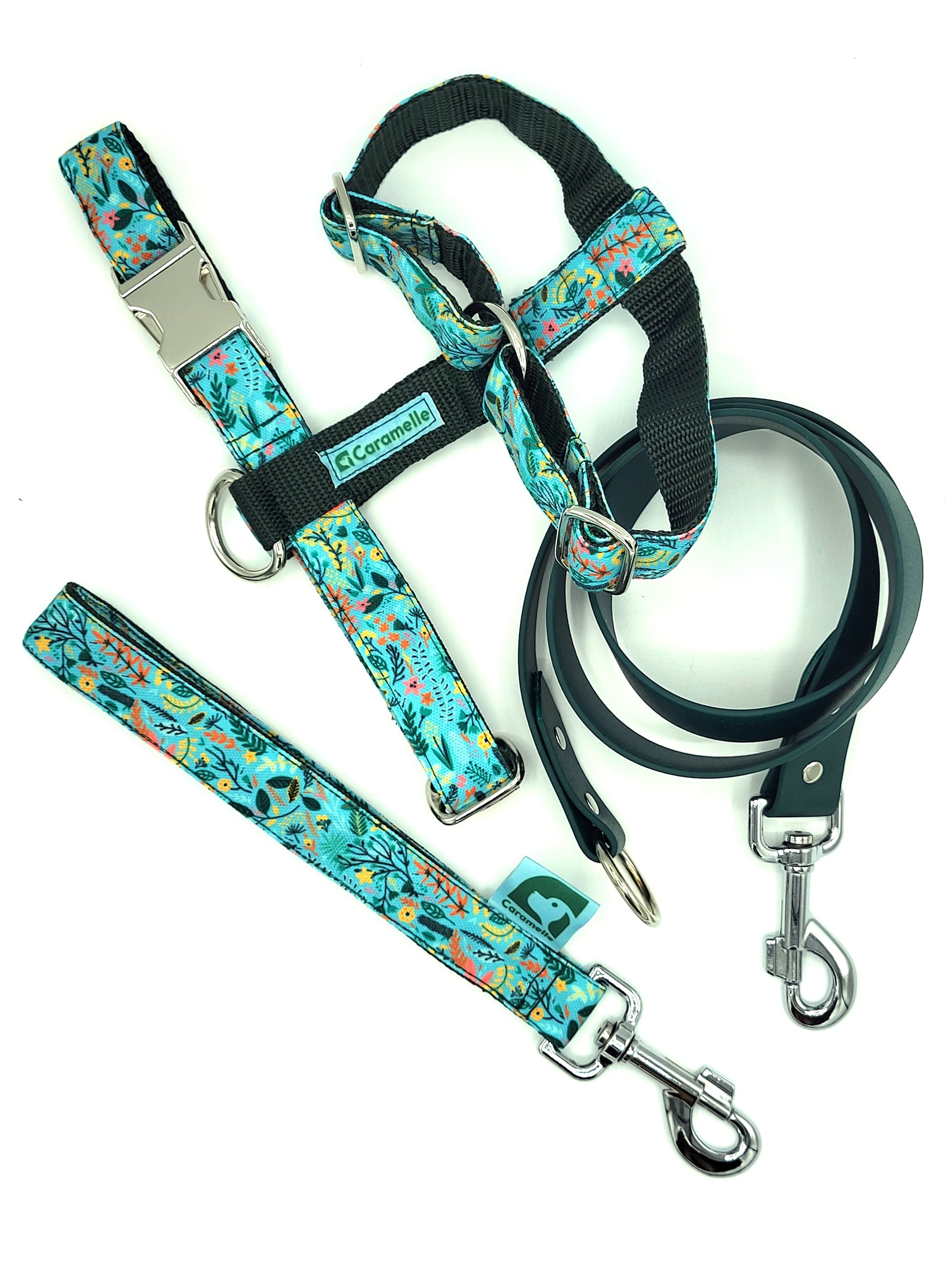 Anse stylé pour petit et grand chien vert, turquoise et rose de french caramelle collection flowerette menthe