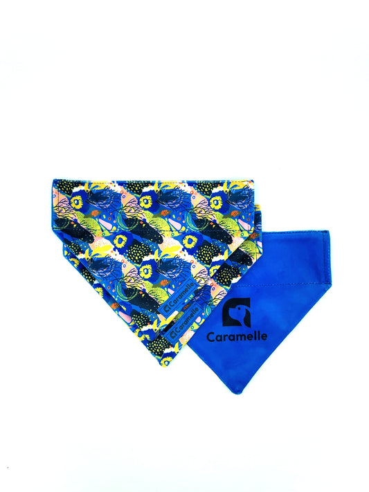 Bandana stylé pour petit et grand chien bleu, vert et jaune de french caramelle collection coeur bleu
