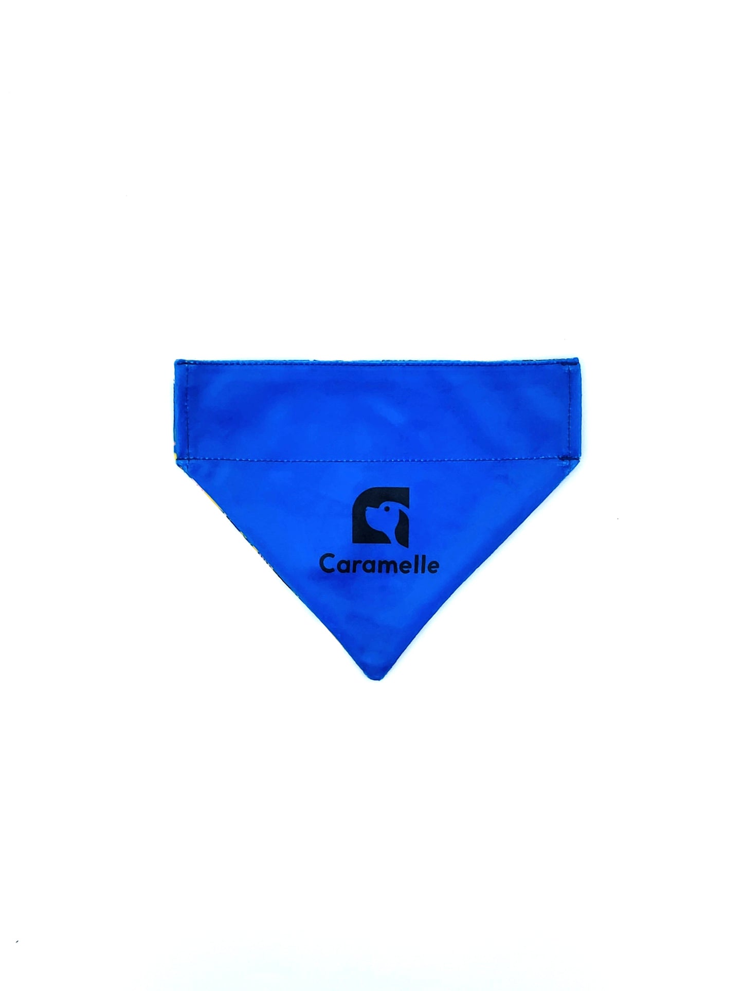 Bandana stylé pour petit et grand chien bleu, vert et jaune de french caramelle collection coeur bleu