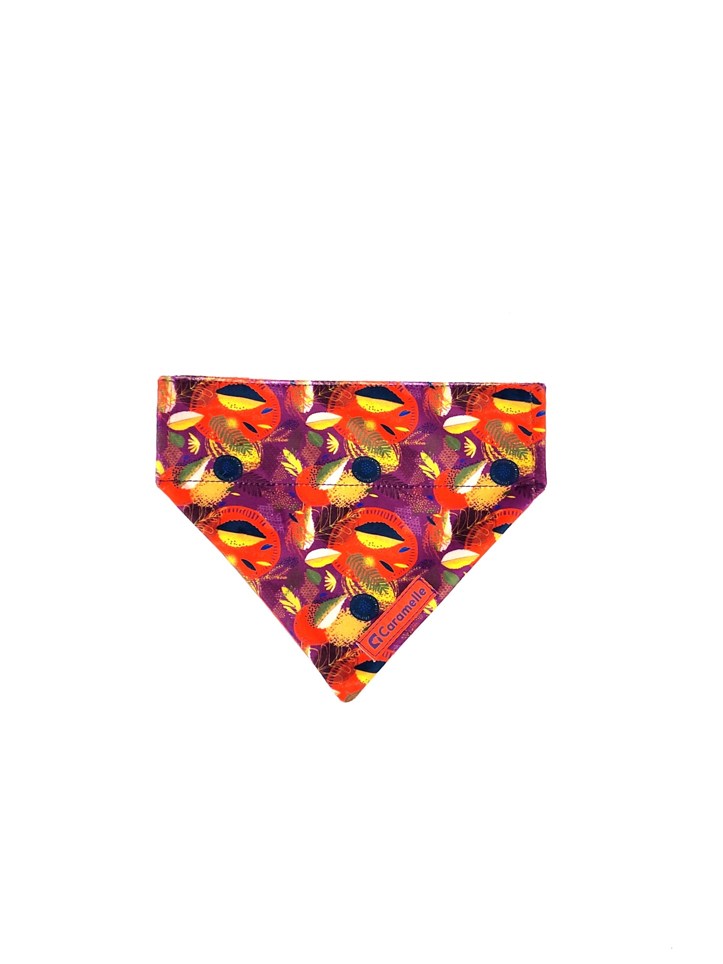 Bandana stylé pour petit et grand chien orange, violet et jaune de french caramelle collection verdoyant-violet