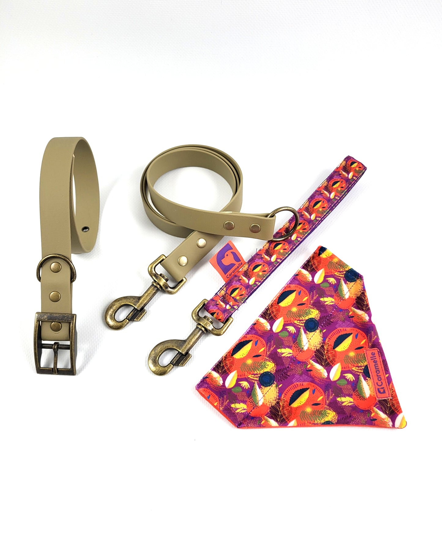 Collier, laisse, anse et bandana pour petit et grand chien orange, violet et jaune de french caramelle collection verdoyant-violet