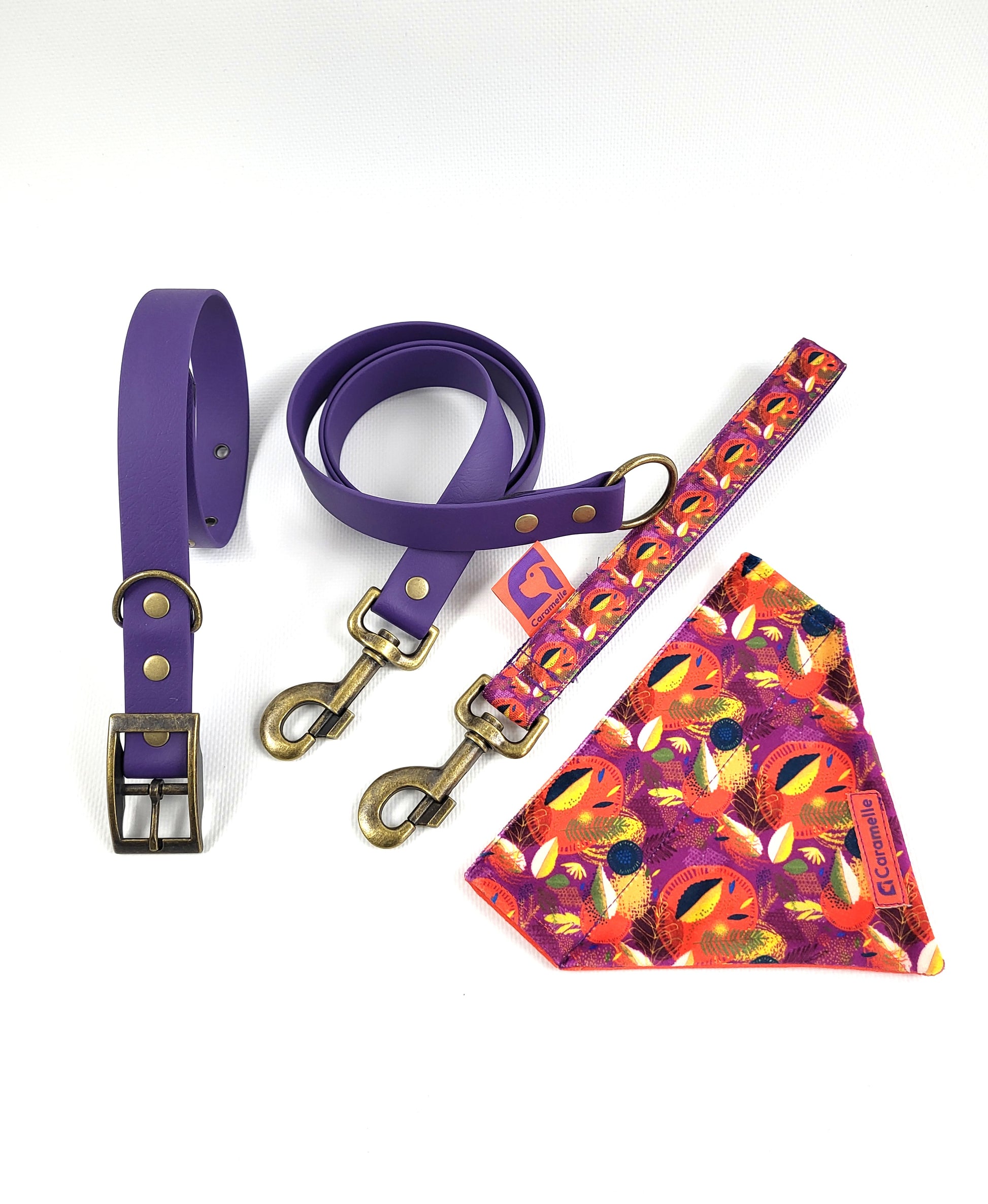 Collier, laisse, anse et bandana pour petit et grand chien orange, violet et jaune de french caramelle collection verdoyant-violet
