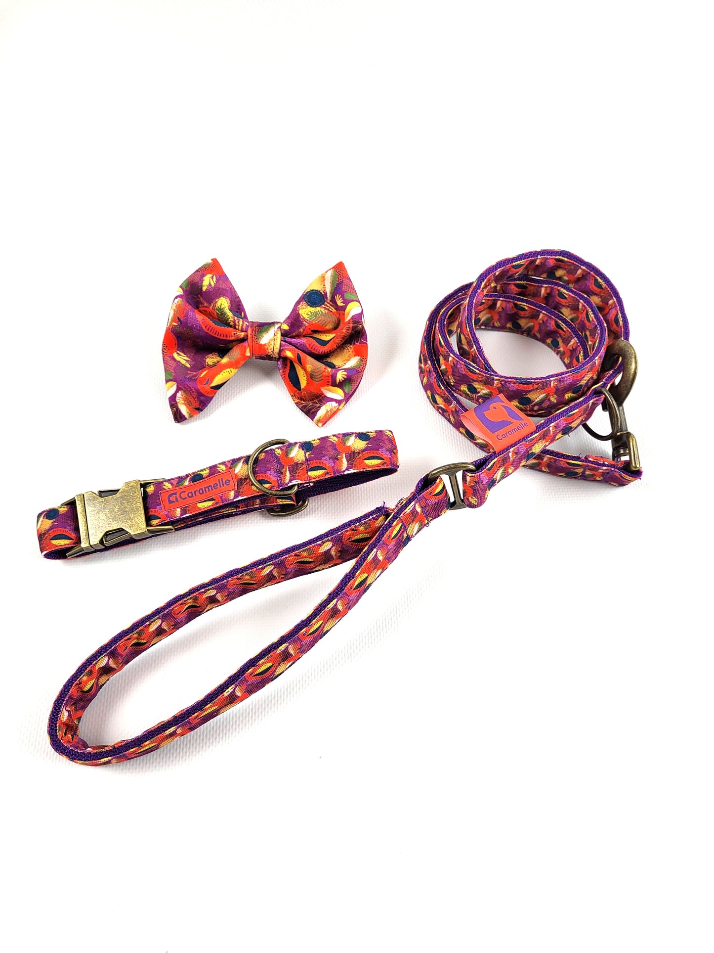 Collier, laisse et noeud papillon stylé pour petit et grand chien orange, violet et jaune de french caramelle collection verdoyant-violet