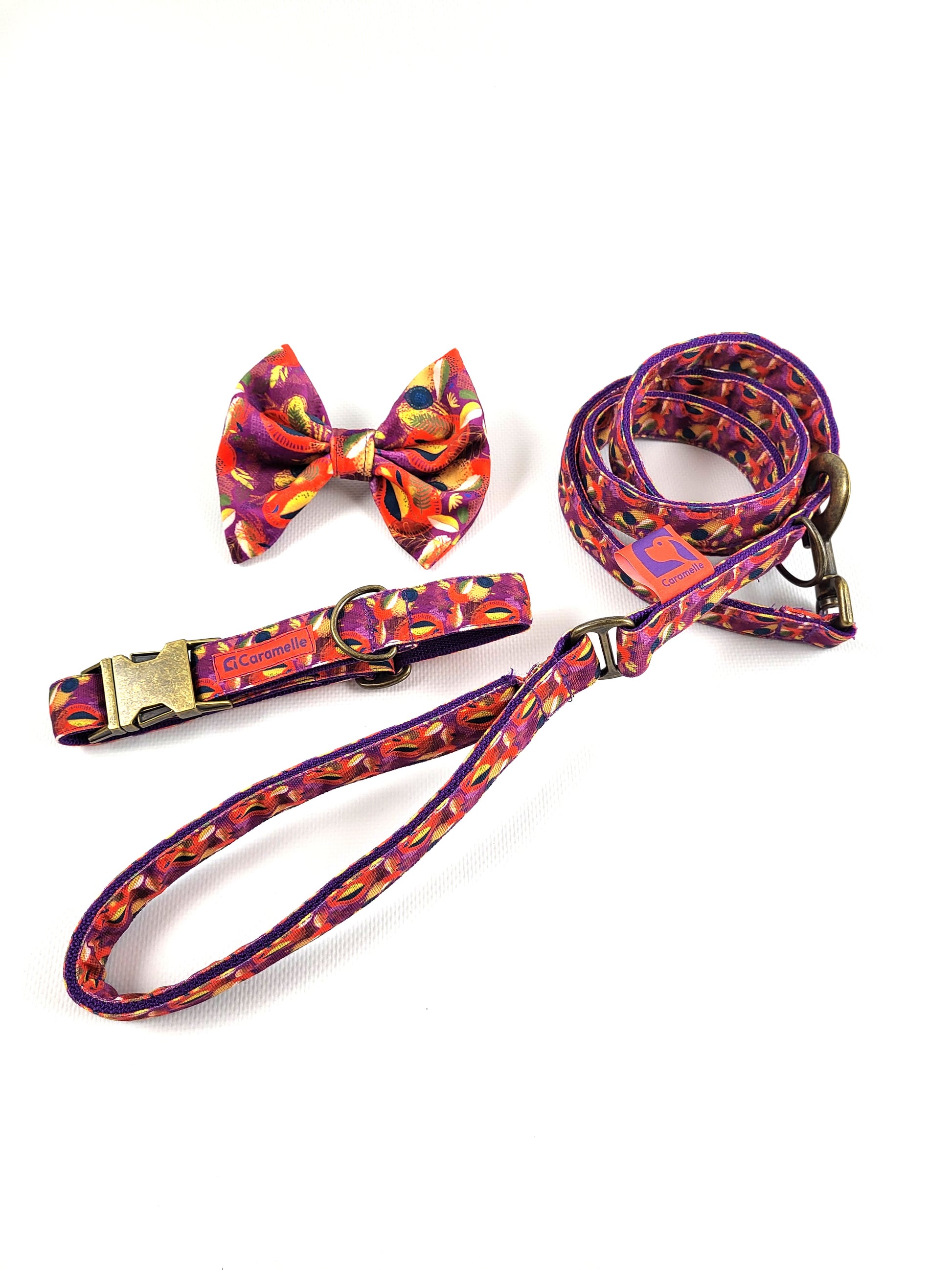 Collier, laisse et noeud papillon stylé pour petit et grand chien orange, violet et jaune de french caramelle collection verdoyant-violet