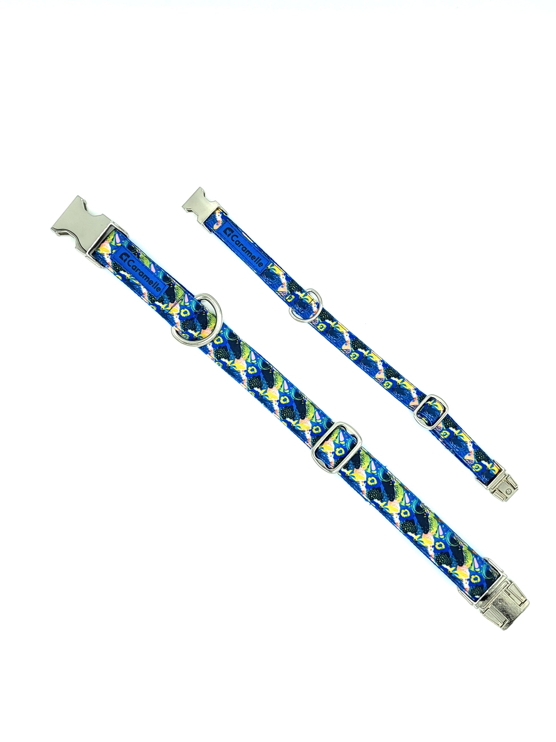Collier stylé pour petit et grand chien réglable bleu, vert et jaune  de french caramelle collection coeur bleu