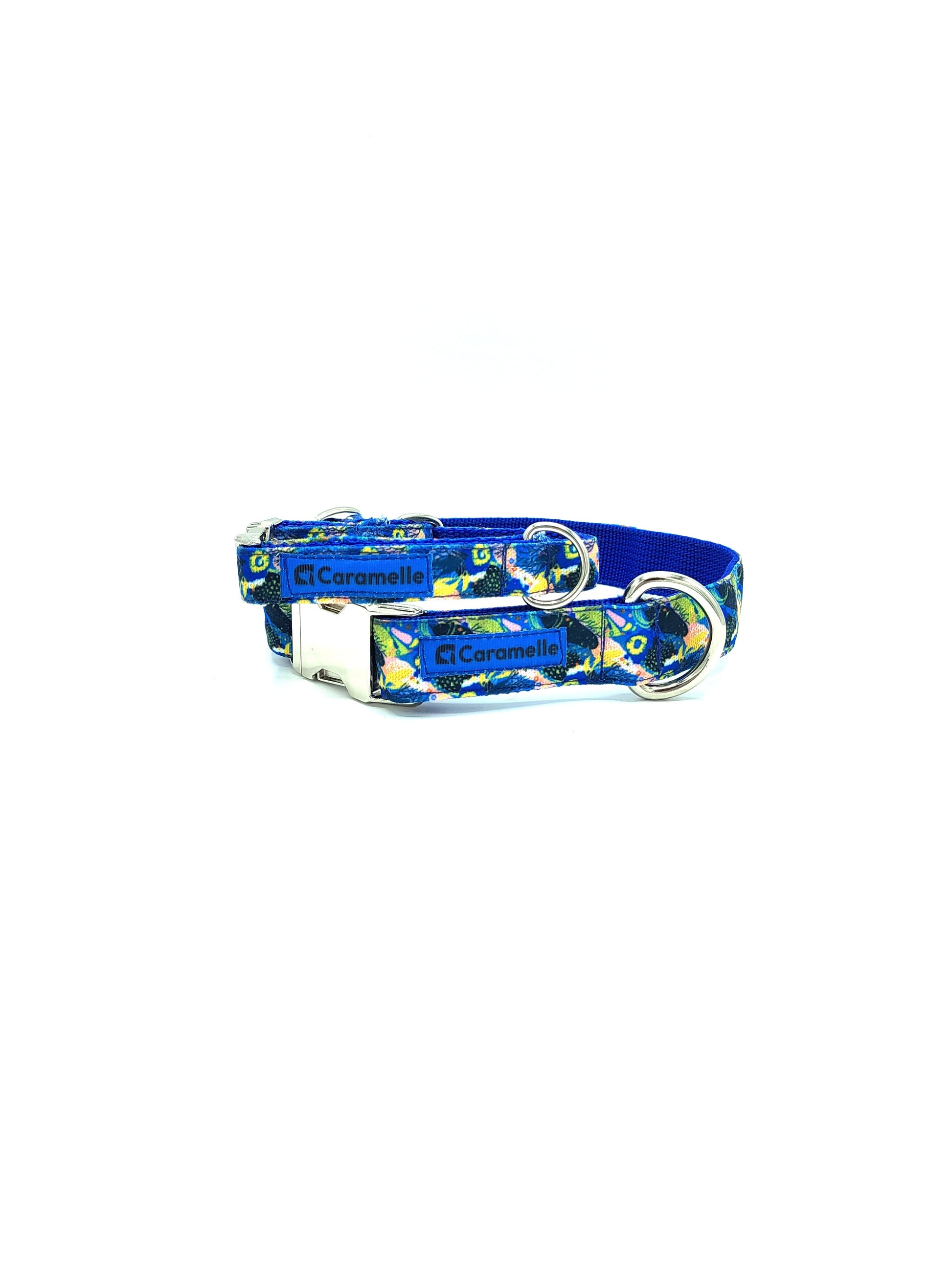 Collier stylé pour petit et grand chien réglable bleu, vert et jaune  de french caramelle collection coeur bleu