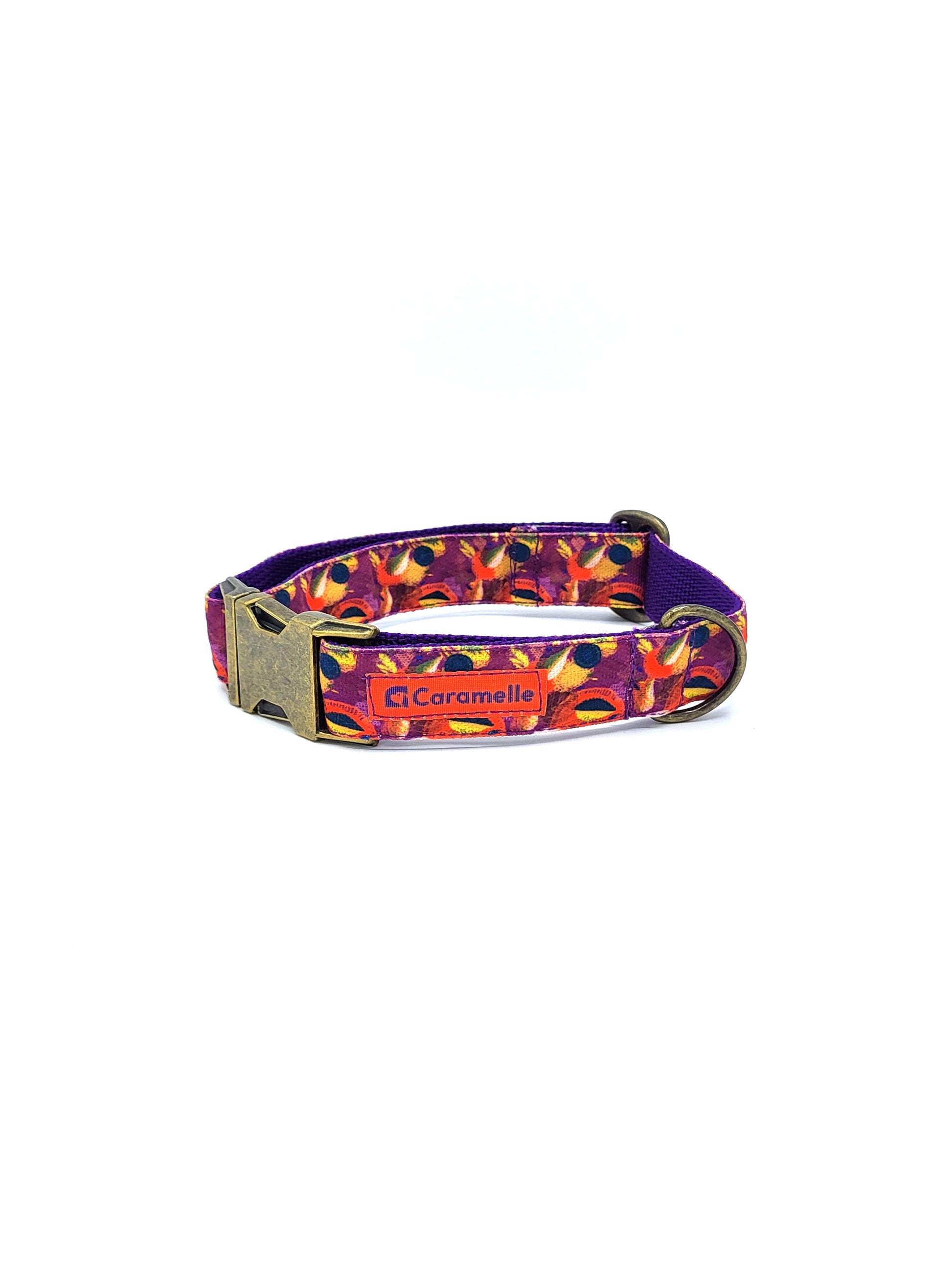 Collier stylé pour petit et grand chien réglable orange, violet et jaune de french caramelle collection verdoyant-violet