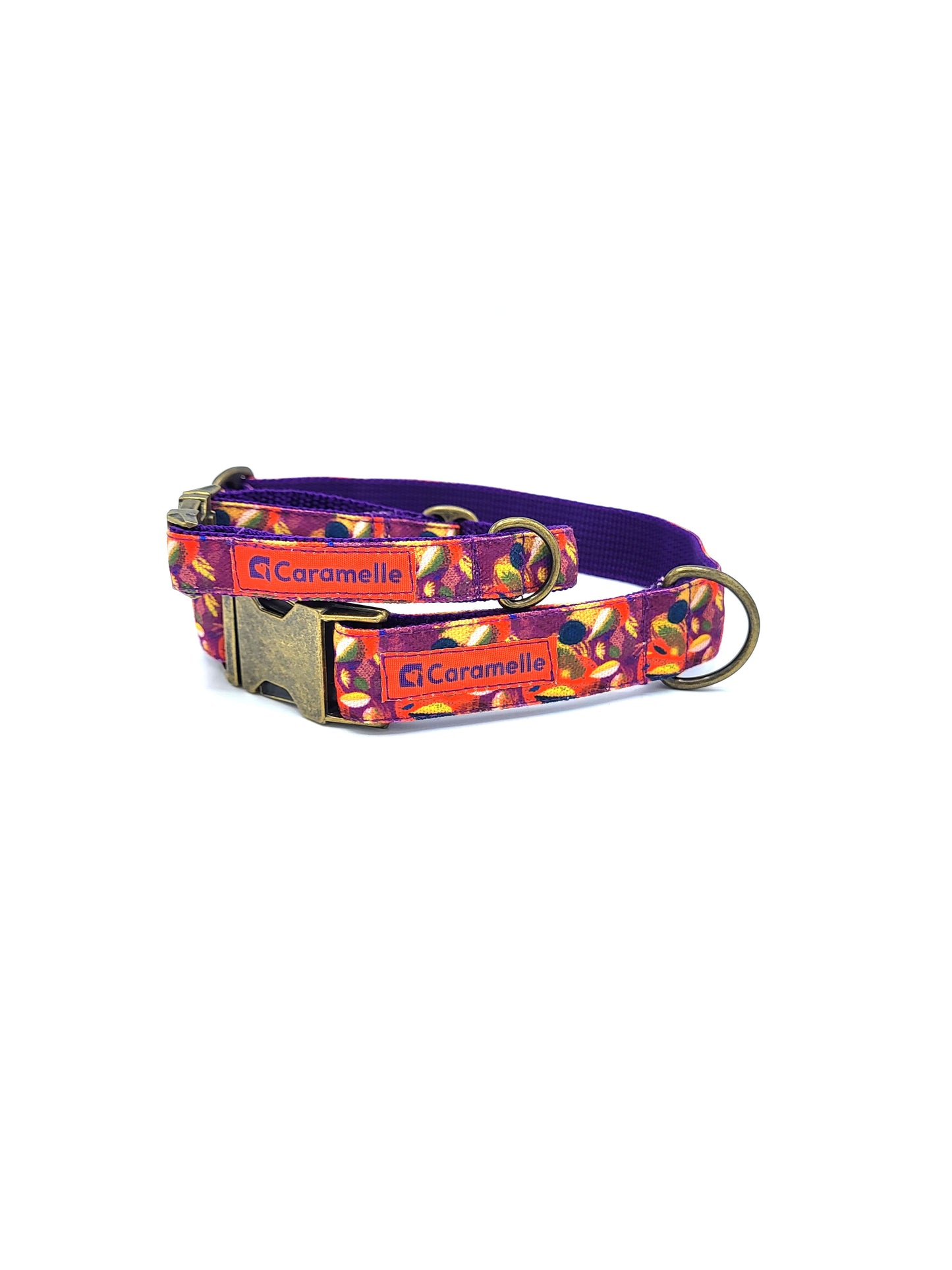 Collier stylé pour petit et grand chien réglable orange, violet et jaune de french caramelle collection verdoyant-violet
