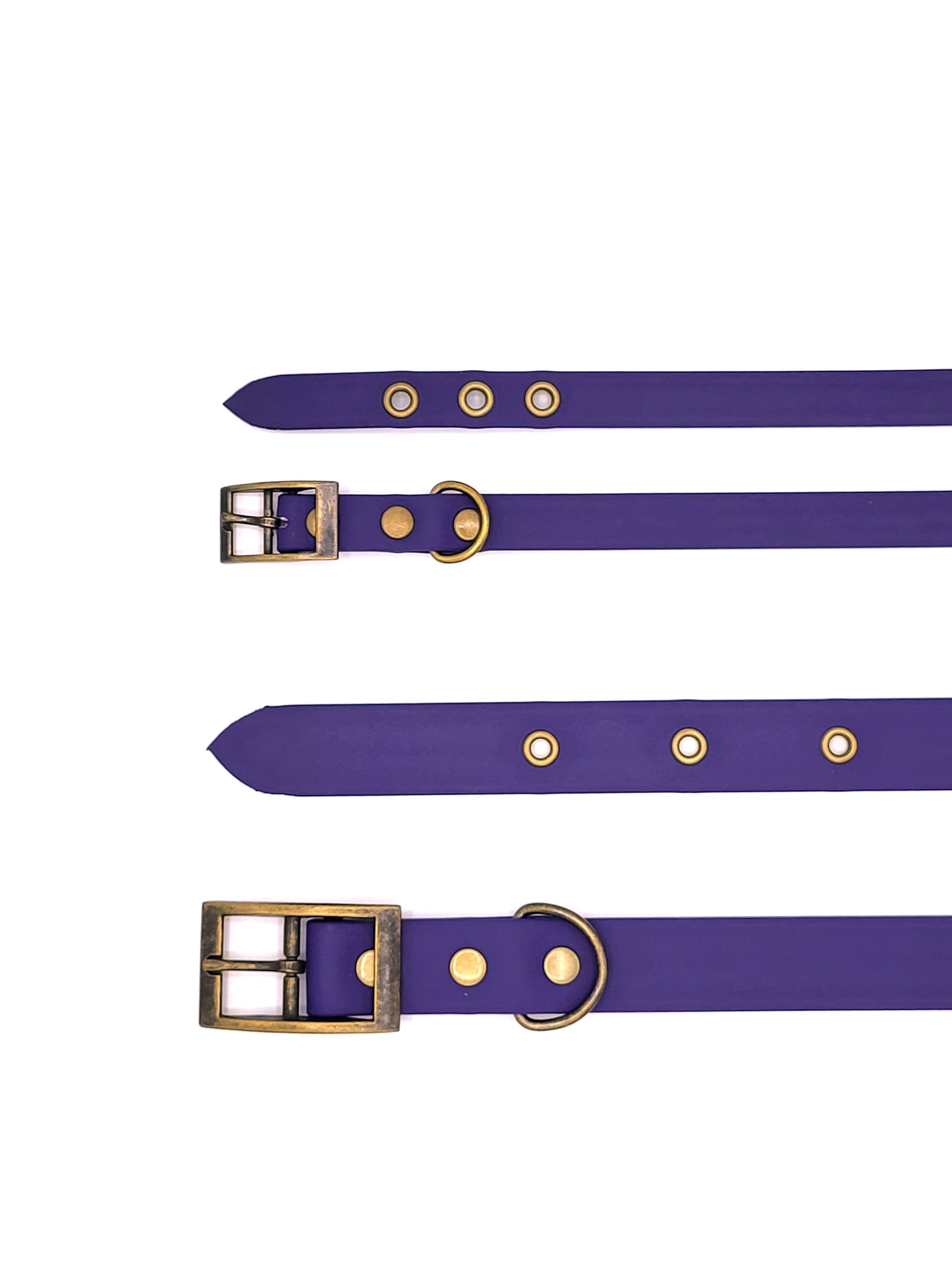 Collier stylé pour petit et grand chien réglable violet de french caramelle