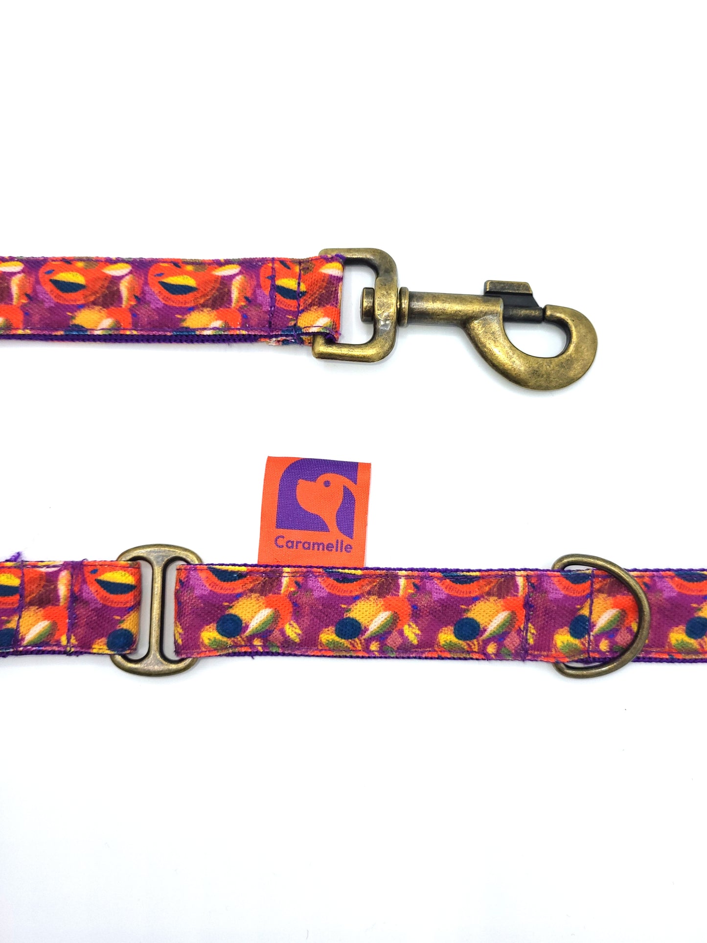 Laisse stylé petit et grand chien orange, violet et jaune de french caramelle collection verdoyant-violet
