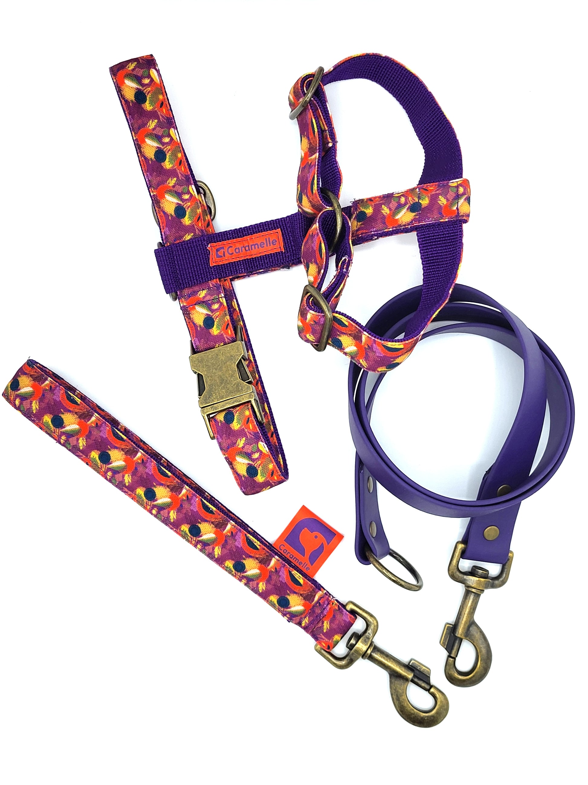 Laisse stylé pour petit et grand chien violet de french caramelle