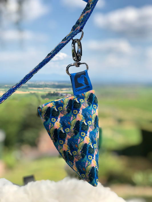 Berlingot attaché à une laisse lors d'un promenade dans la nature