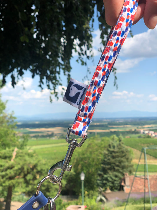 Anse pour chien attaché à une laisse lors d'une balade avec un bichon maltais