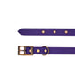 Biothane® Collar purple