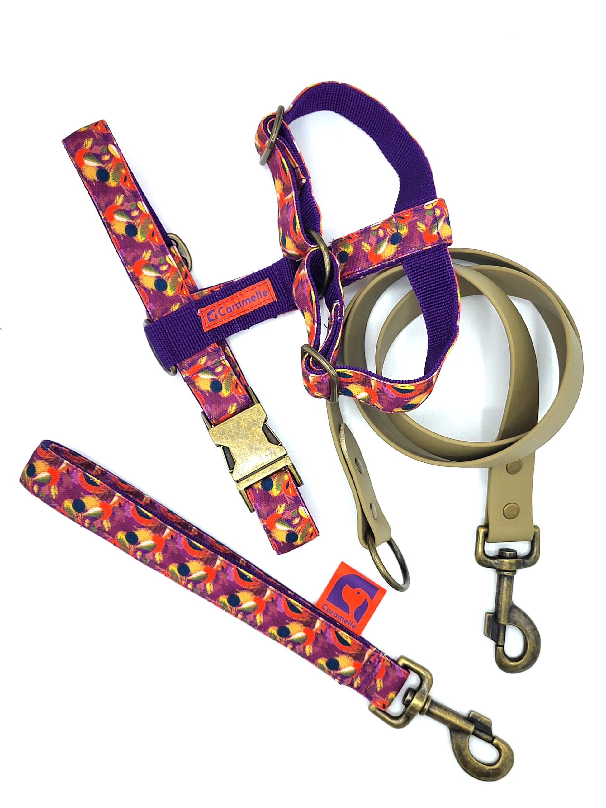 Anse stylé pour petit et grand chien orange, violet et beige french caramelle collection verdoyant-violet