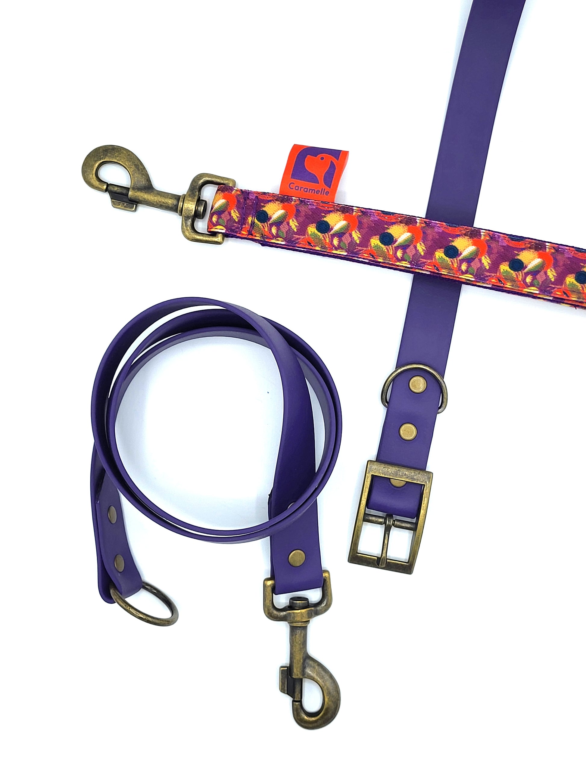 Anse stylé pour petit et grand chien orange, violet et beige french caramelle collection verdoyant-violet