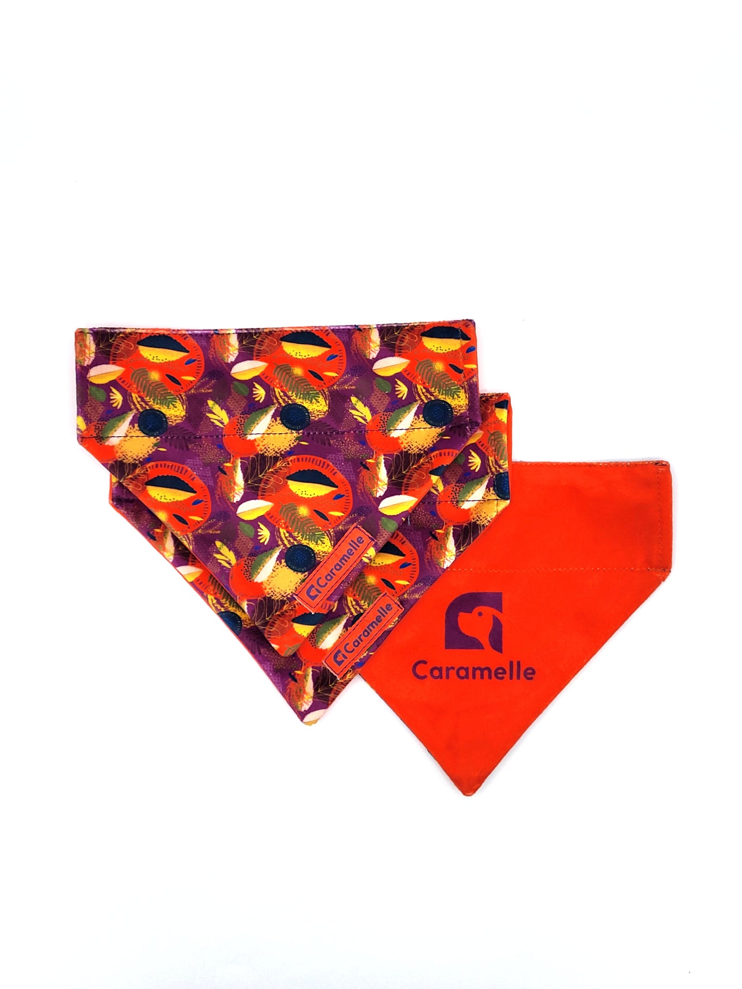 Bandana stylé pour petit et grand chien orange, violet et jaune de french caramelle collection verdoyant-violet