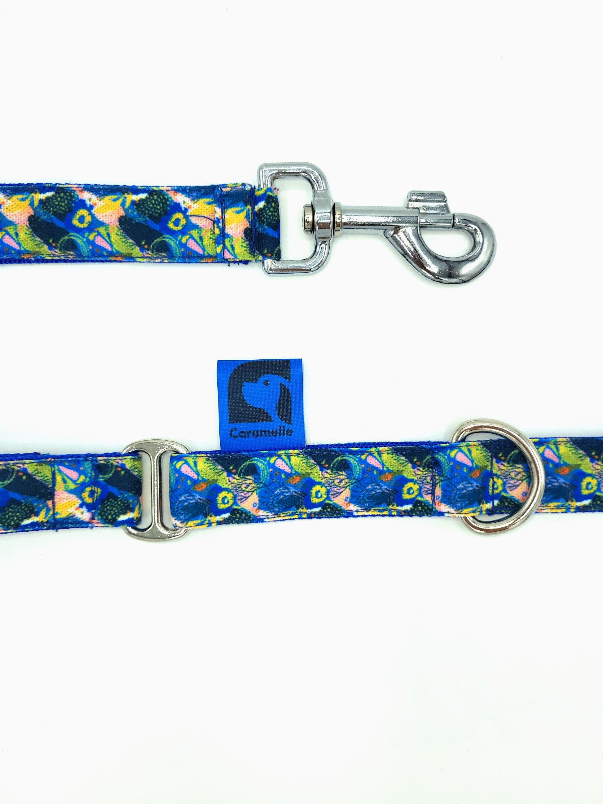 Laisse stylé petit et grand chien bleu, jaune et rose de french caramelle collection coeur bleu