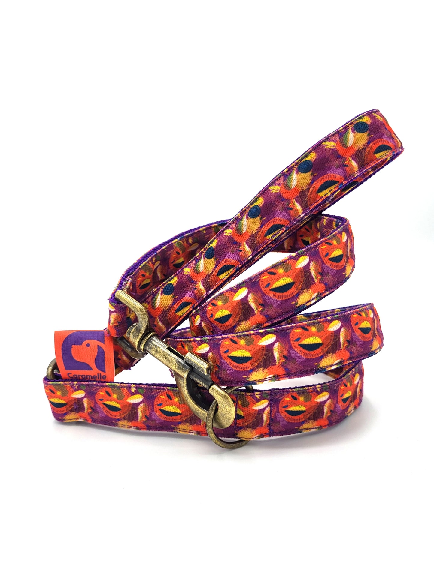 Laisse stylé petit et grand chien orange, violet et jaune de french caramelle collection verdoyant-violet