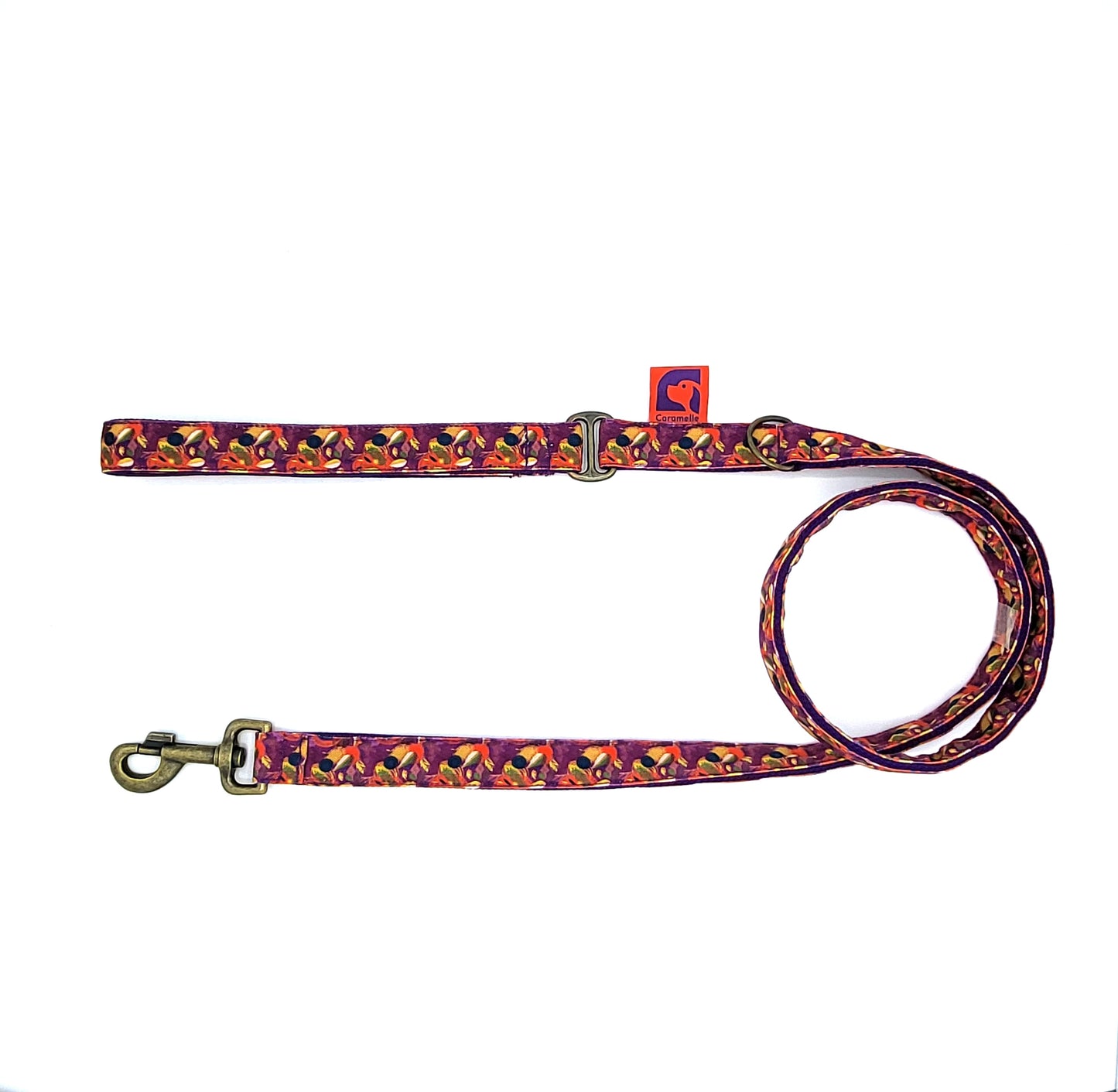 Laisse stylé petit et grand chien orange, violet et jaune de french caramelle collection verdoyant-violet