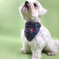 Photo de chien avec un bandana de french caramelle